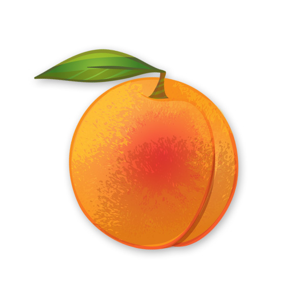 Türkçe şeftali kelimesinin ingilizce karşılığı peach