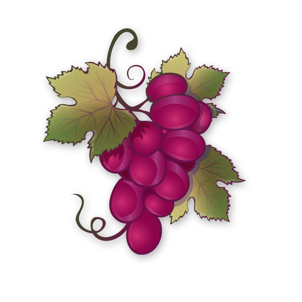Türkçe üzüm kelimesinin ingilizce karşılığı grape